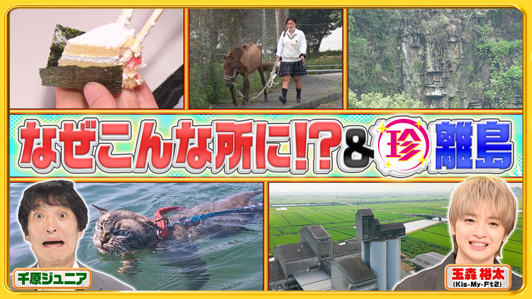 ナニコレ珍百景 離島に伝わる珍風習＆なぜこんな所にこんなものが！？SP（2025/09/21放送分）