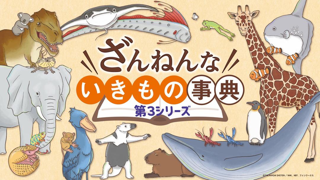 ざんねんないきもの事典 第3シリーズ アニメ Telasa テラサ キッズ 特撮の見逃し配信 動画が見放題