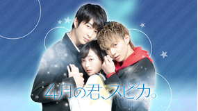 4月の君、スピカ。