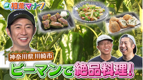 相葉マナブ マナブ！旬の産地ごはん～ピーマン～＆そうめん-1グランプリ（2025/09/21放送分）