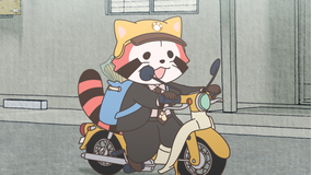 あらいぐま カルカル団 第16話