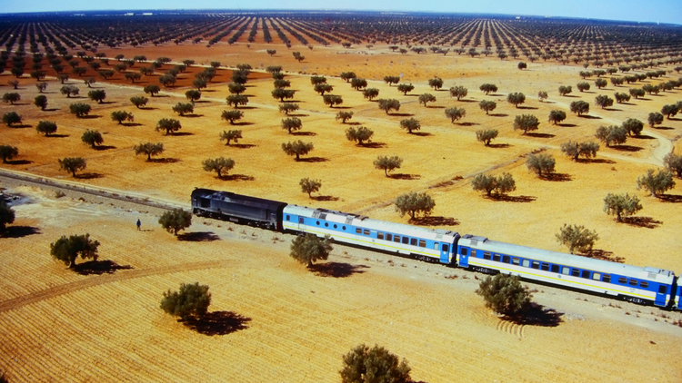 世界の車窓から 世界一周鉄道の旅 5大陸55カ国 ＃6 アフリカ大陸 北アフリカ、ケニア、南アフリカの旅