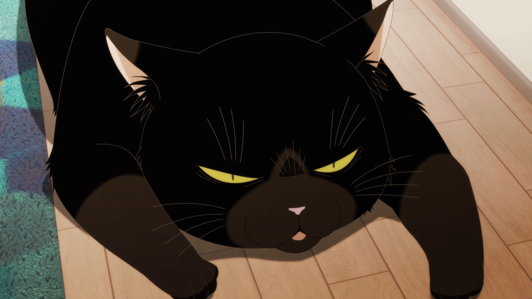 デキる猫は今日も憂鬱 第11話 | 映画・ドラマ・アニメの動画はTELASA