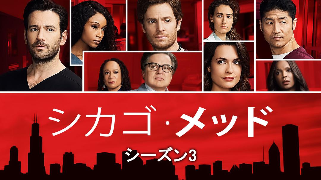 取合い 新品！ヒューマニスト 堕ちた弁護士 シーズン3 