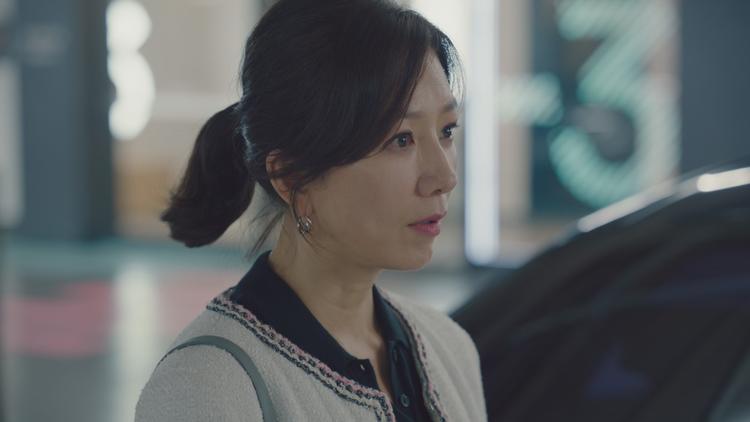 夫婦の世界 第31話／字幕