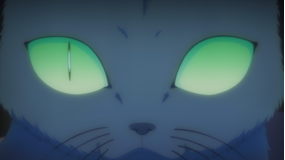 MAO 第13話