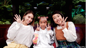 グータンヌーボ2 (2019/01/29放送分)第003話
