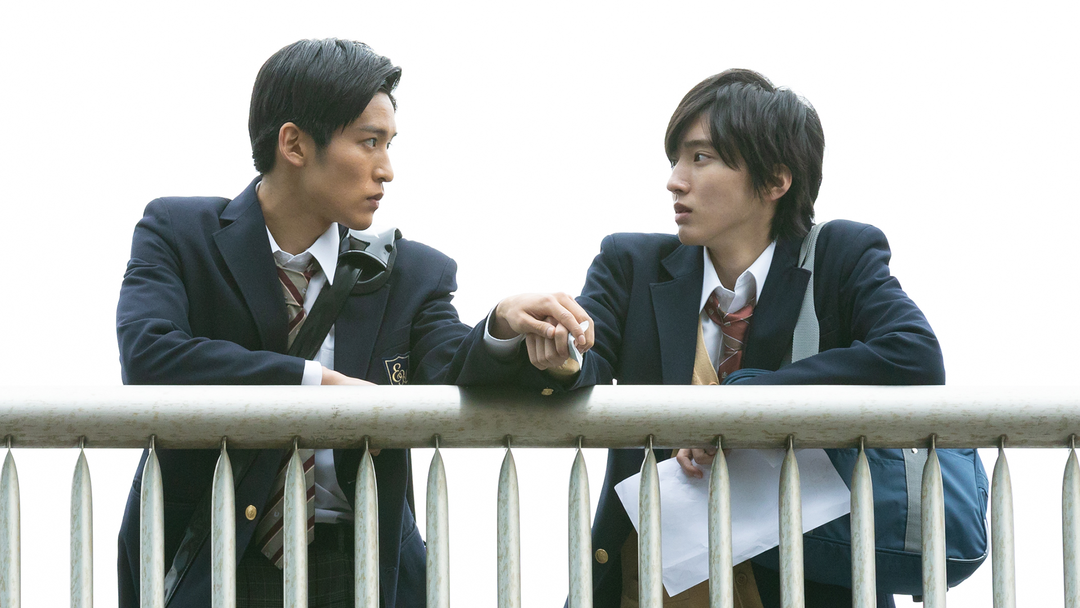 大事にしてくれる人を大事にしたい！触れ合う手‼