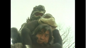 仮面ライダー（新） 第25話