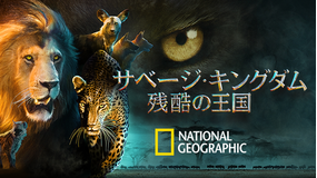 サベージ・キングダム:残酷の王国 城を守るヒョウ/字幕