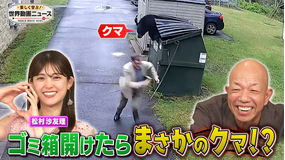 楽しく学ぶ！世界動画ニュース 2時間SP【防犯カメラが捉えた決定的瞬間SP】2025年8月14日放送
