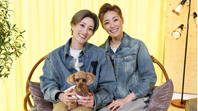 【宝塚歌劇】TAKARAZUKAあにまるハウス＃35「久城あす・麻斗海伶」