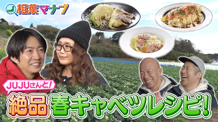 相葉マナブ マナブ!旬の産地ごはん~春キャベツ~(2026/04/12放送分)