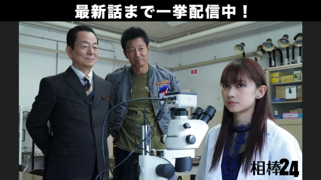 相棒 season24（2025/11/12放送分）第05話