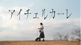 アイチェルカーレ