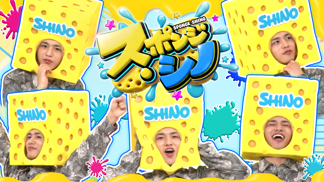 スポンジ・シノ