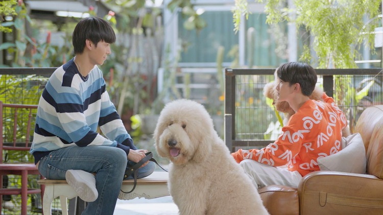Be Mine. Superstar -人気俳優と犬系スタッフ君- 第05話／字幕