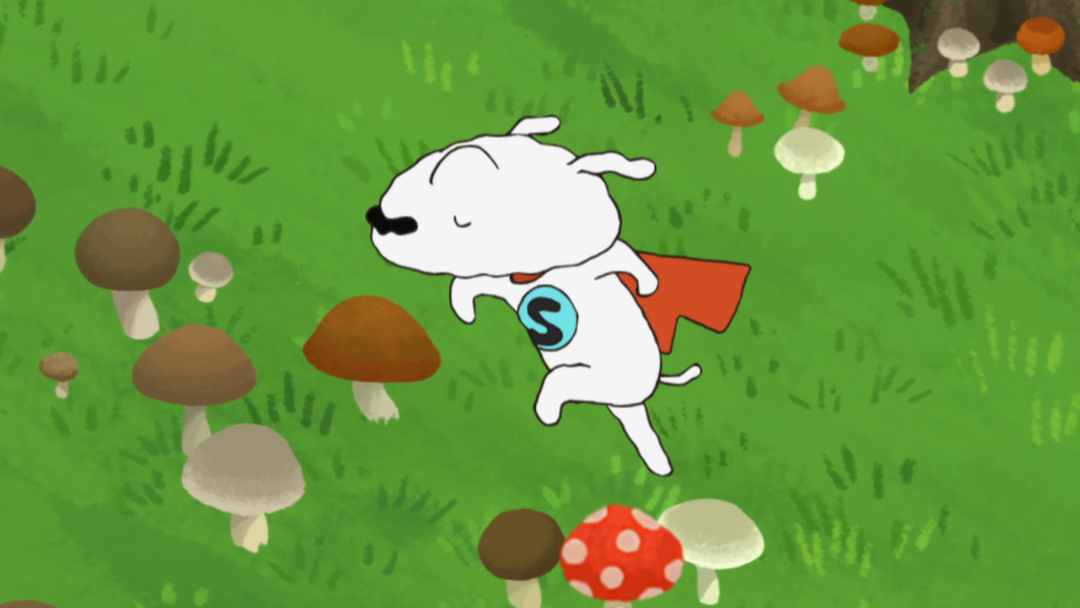 楽しいきのこ狩り