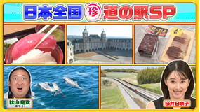 ナニコレ珍百景 野生イルカと遭遇…まるで遊園地！？GWに行きたい全国の珍百景な道の駅SP！！（2026/05/03放送分）