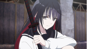魔法少女リリカルなのは EXCEEDS Gun Blaze Vengeance 第04話