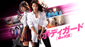 ボディガード 命の代償/字幕