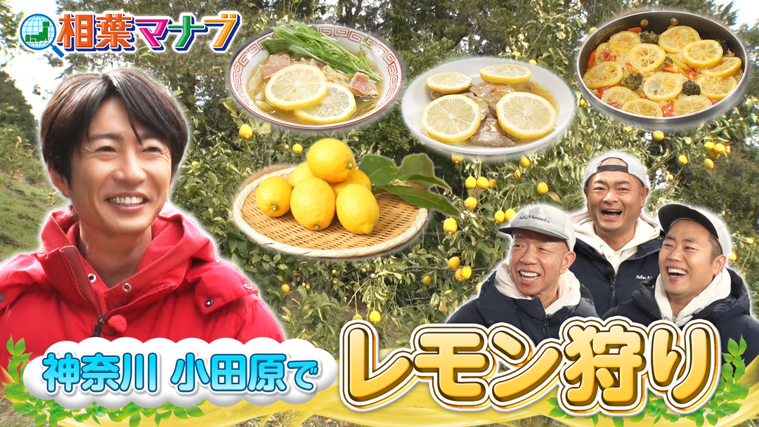 相葉マナブ マナブ！旬の産地ごはん～レモン～（2026/04/26放送分）