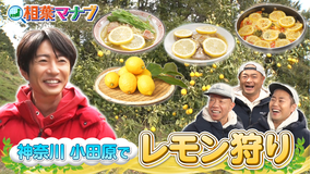 相葉マナブ マナブ！旬の産地ごはん～レモン～（2026/04/26放送分）