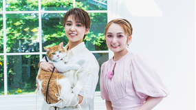 【宝塚歌劇】TAKARAZUKAあにまるハウス＃40「天城れいん・湖春ひめ花」