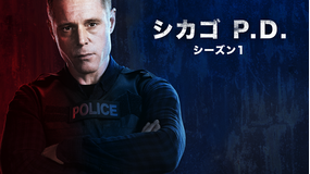 シカゴ P.D. シーズン1/字幕