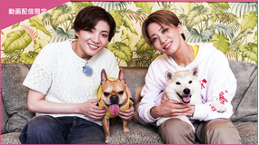 【宝塚歌劇】TAKARAZUKAあにまるハウス#38「鳳月杏・礼真琴」<未公開映像付>