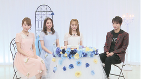 【宝塚歌劇】TAKARAZUKA NEWS Pick Up「プリ×プリ ティータイム 星組」
