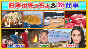 ナニコレ珍百景 日本の先っちょに外国の風景&200℃…過酷な珍仕事をお手伝いSP(2026/03/15放送分)