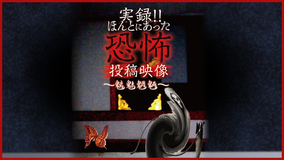 実録!!ほんとにあった恐怖の投稿映像~魑魅魍魎~